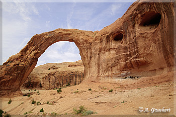 Arch und Gesicht